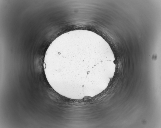 X0000101990868200808151422