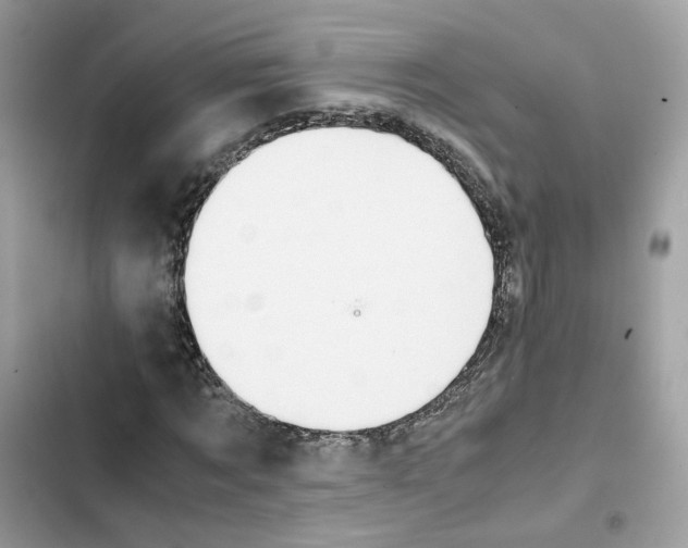 X0000101990869200808151422