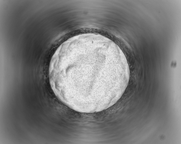 X0000101990870200808151422