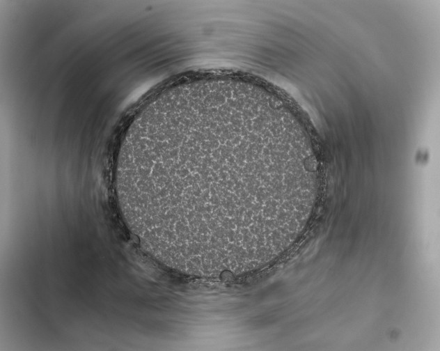 X0000101990871200808151422