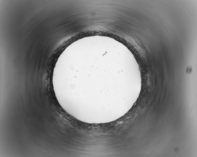 X0000101990872200808151422