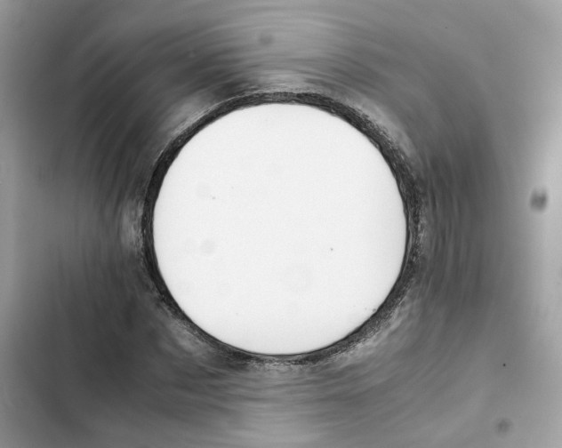 X0000101990873200808151422