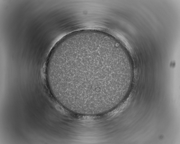X0000101990875200808151422