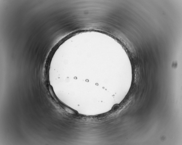 X0000101990876200808151422