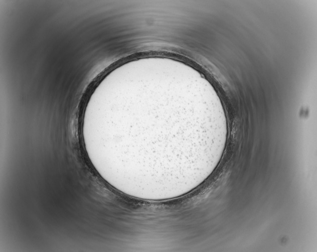 X0000101990877200808151422