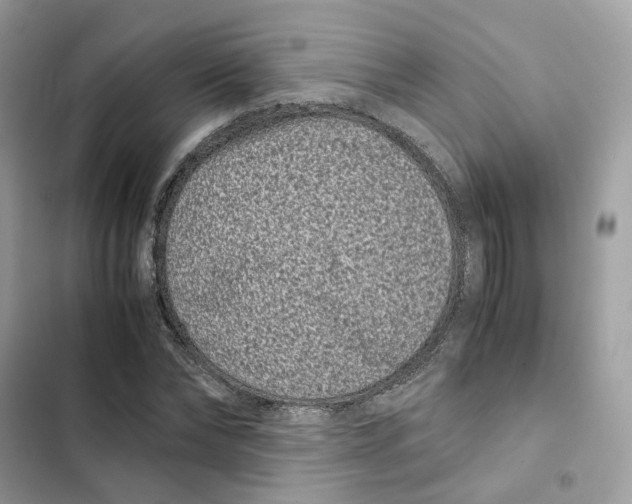 X0000101990878200808151421