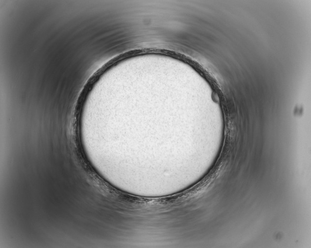 X0000101990879200808151421