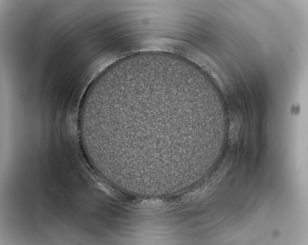 X0000101990882200808151421