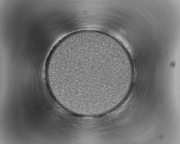 X0000101990883200808151421