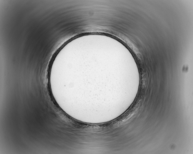 X0000101990885200808151421