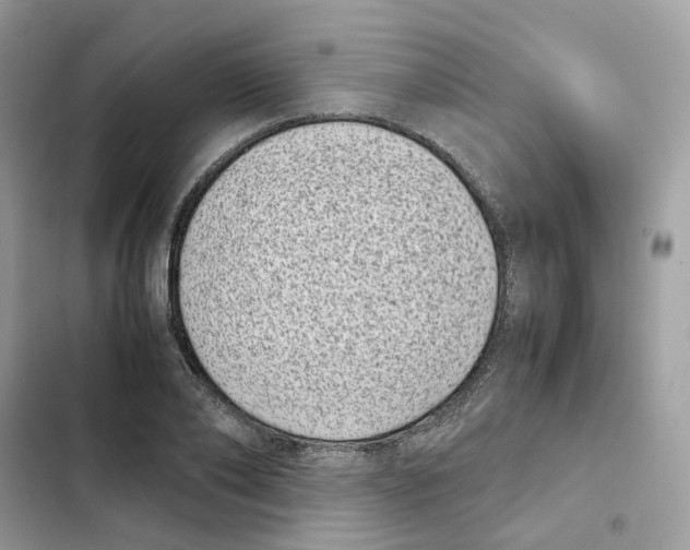X0000101990886200808151421