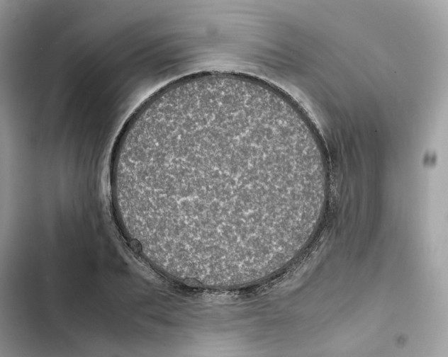 X0000101990887200808151421