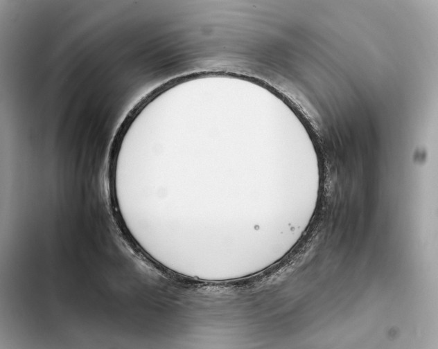 X0000101990888200808151421