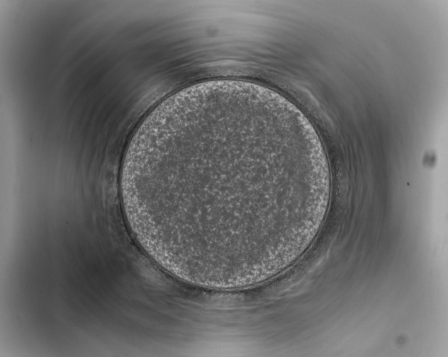 X0000101990889200808151421