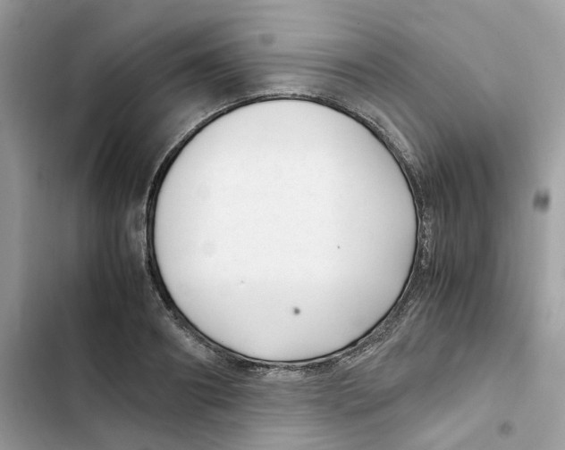 X0000101990890200808151421