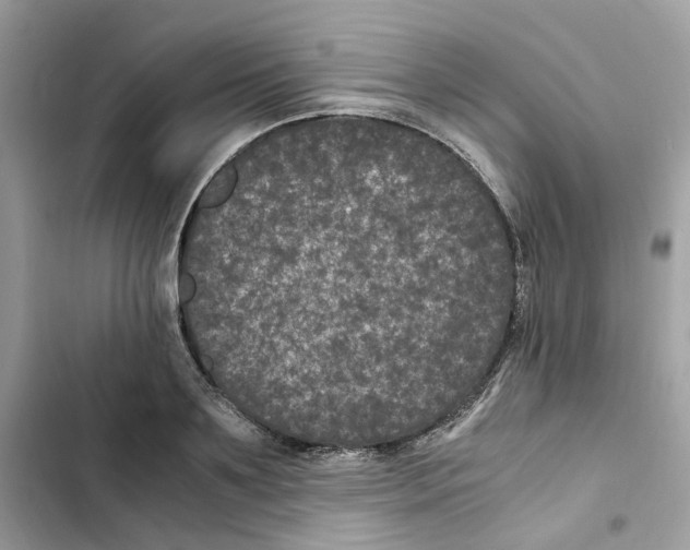 X0000101990891200808151421