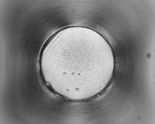 X0000101990892200808151421
