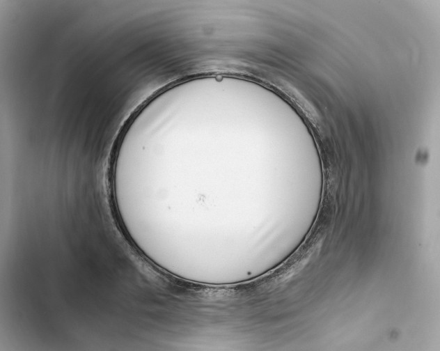 X0000101990893200808151421