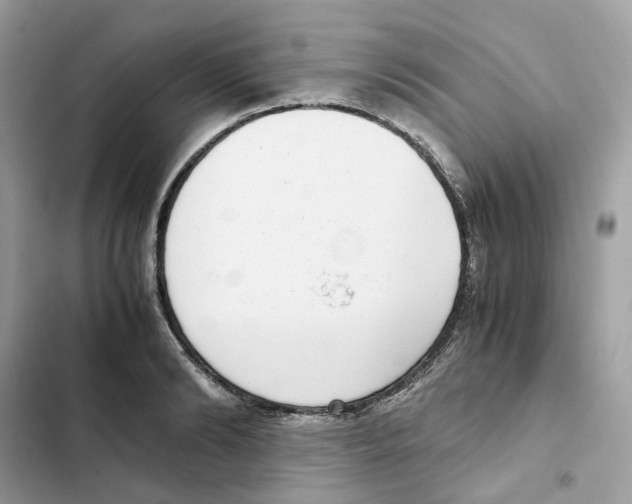 X0000101990894200808151421