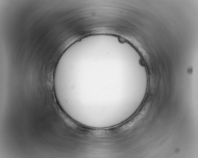 X0000101990897200808151421