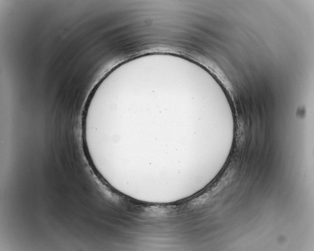 X0000101990898200808151421
