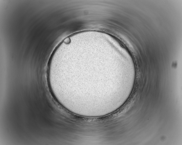 X0000101990899200808151421