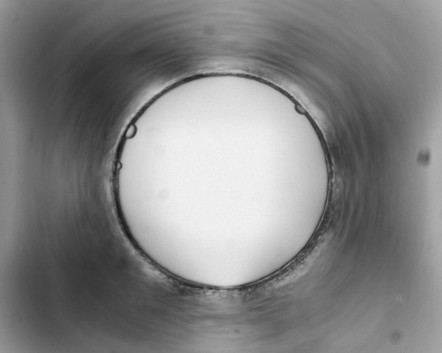 X0000101990901200808151421