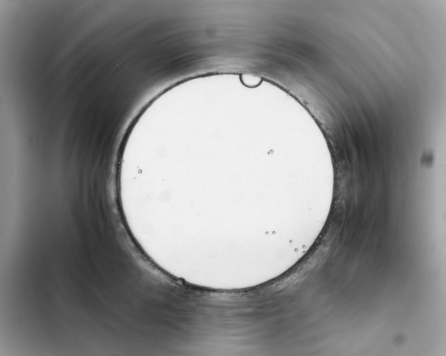 X0000101990904200808151421