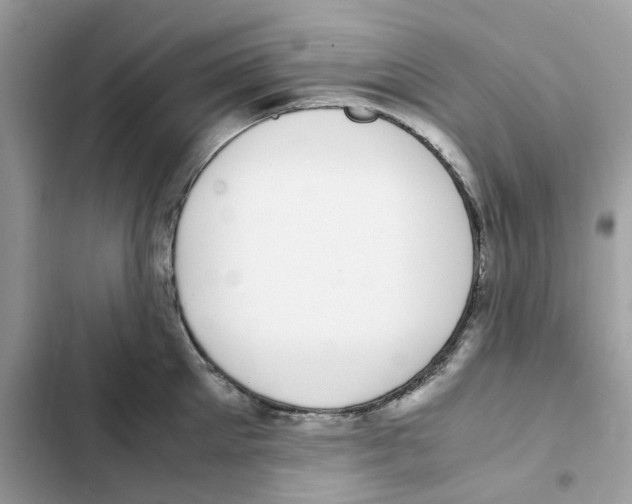 X0000101990905200808151421