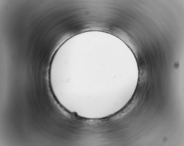 X0000101990906200808151421