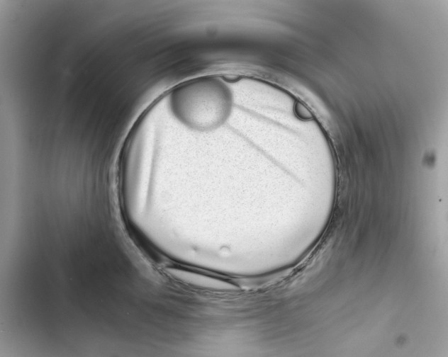 X0000101990907200808151421