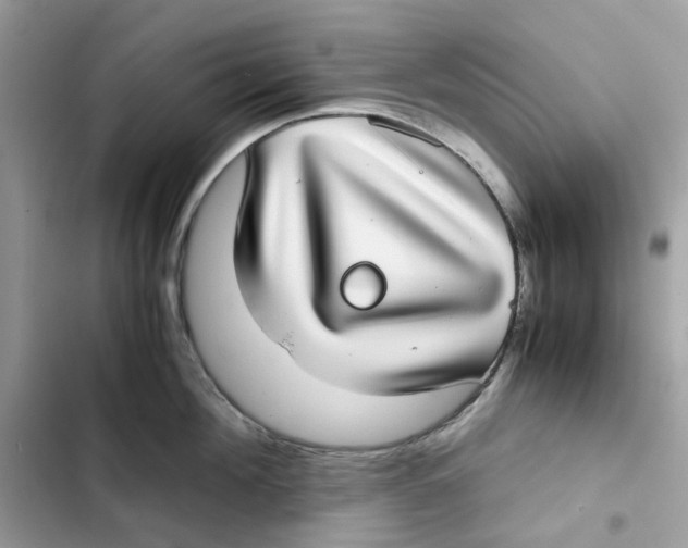 X0000101990908200808151421