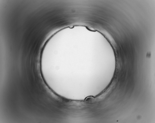 X0000101990910200808151421