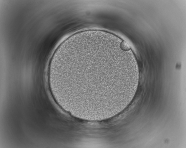 X0000101990911200808151421
