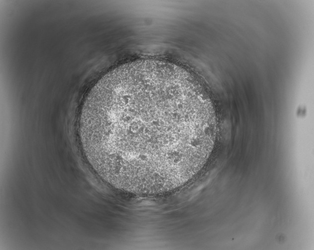 X0000101990913200808151420