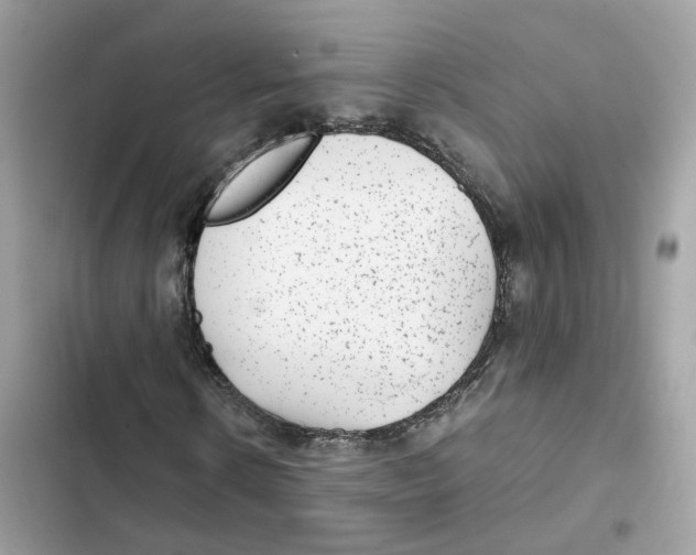 X0000101990914200808151420
