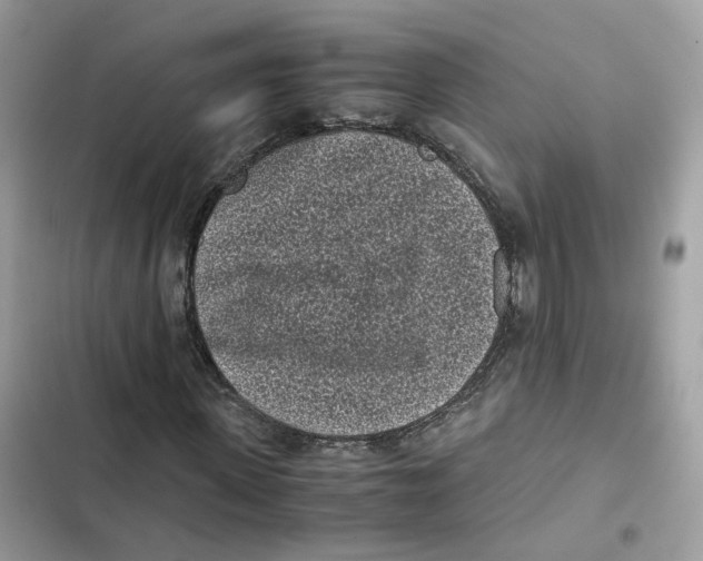 X0000101990915200808151420