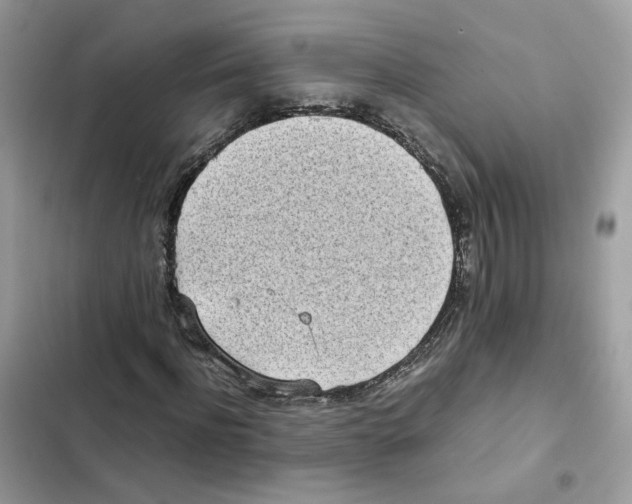 X0000101990916200808151420