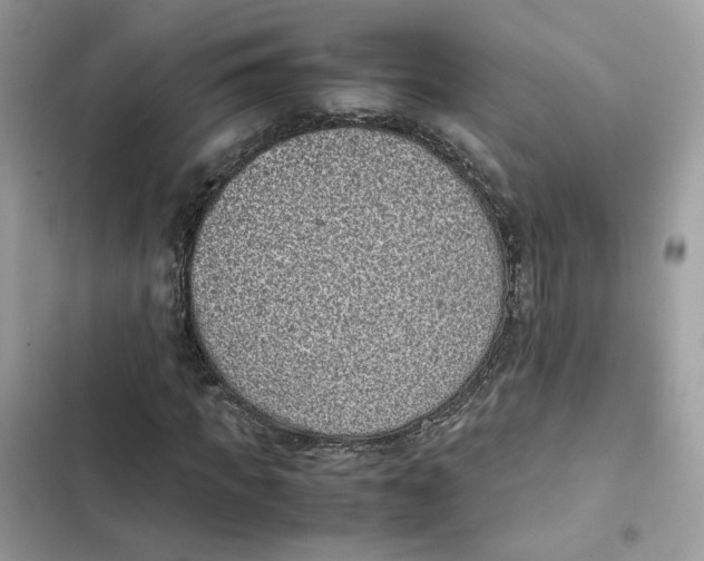 X0000101990917200808151420