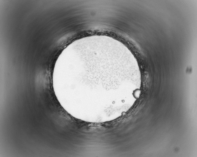 X0000101990918200808151420