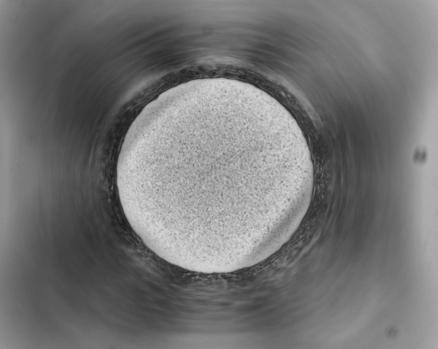 X0000101990919200808151420