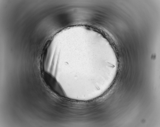 X0000101990921200808151420