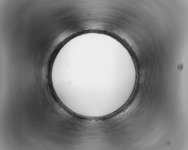X0000101990922200808151420