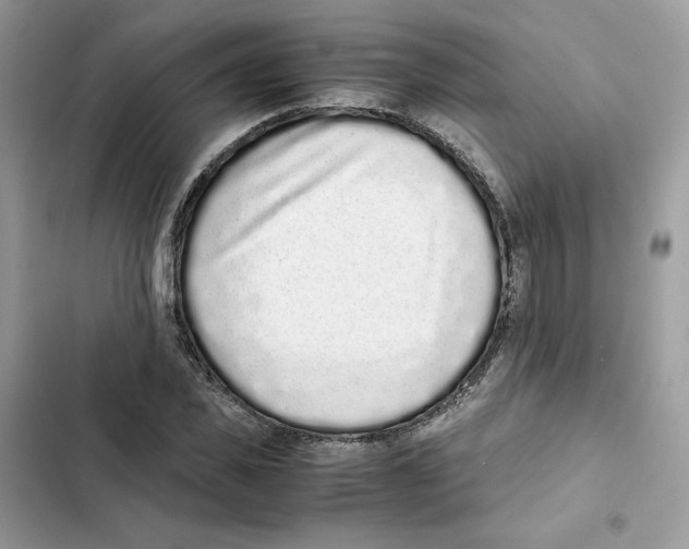 X0000101990925200808151420