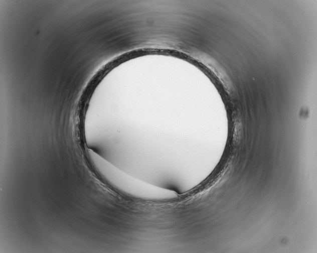 X0000101990926200808151420