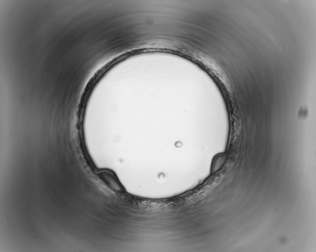 X0000101990928200808151421