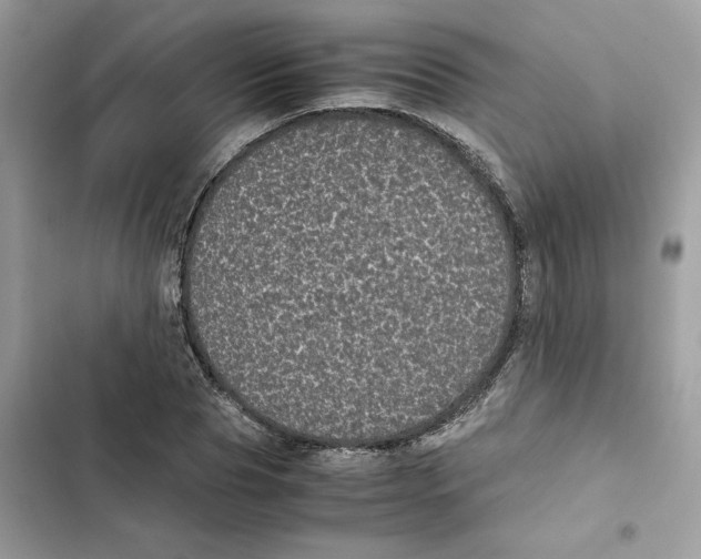 X0000101990929200808151421