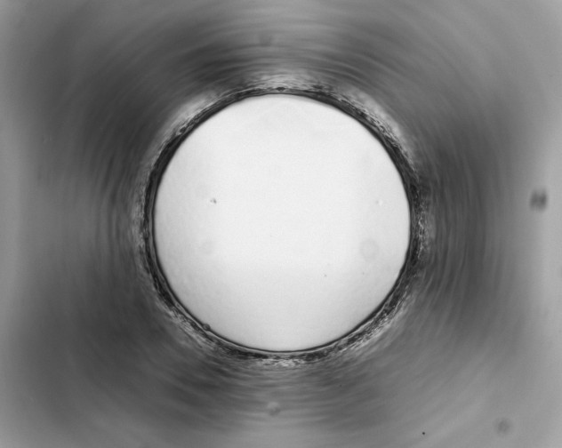X0000101990930200808151421