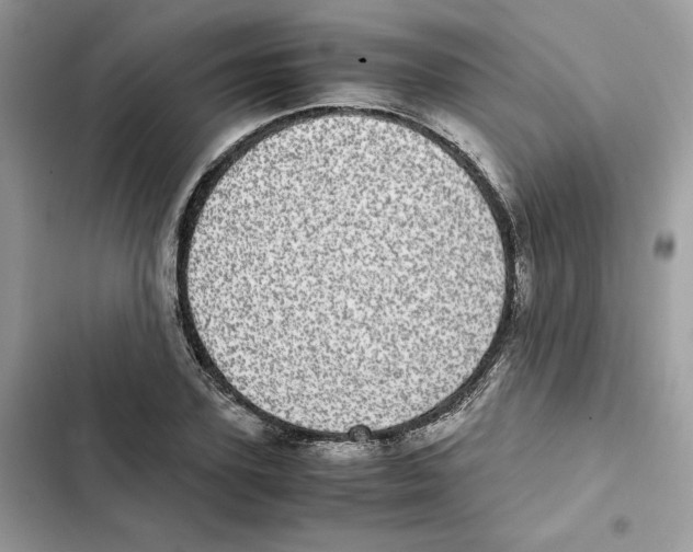 X0000101990931200808151421