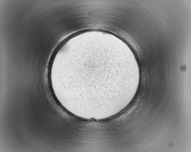 X0000101990932200808151421